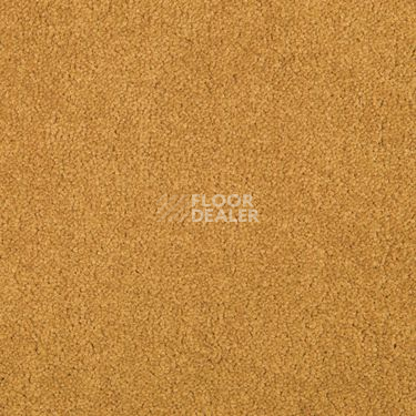 Ковровая плитка Modulyss Cambridge Xtra 21 f фото 1 | FLOORDEALER